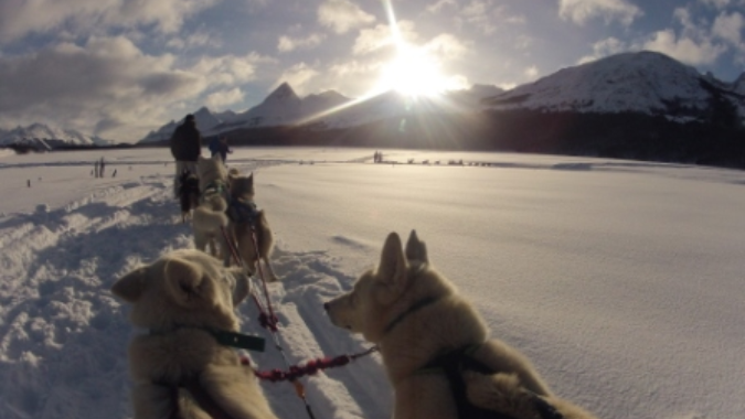 Passe um dia de inverno em Ushuaia com este passeio da Aventura Blanca!