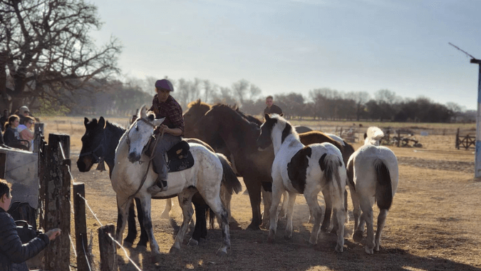 Spend an unforgettable day in the countryside with the whole family just a few minutes from Buenos Aires!