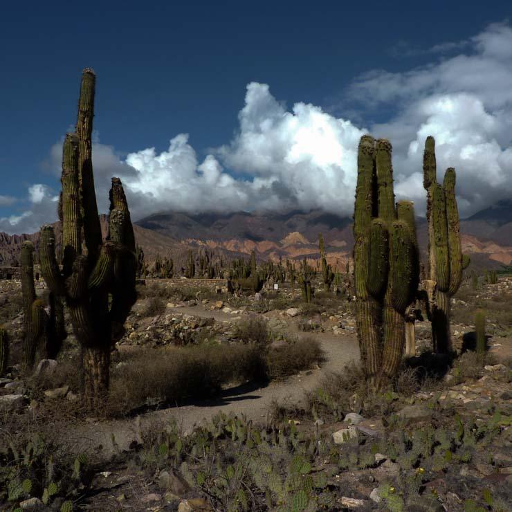 cachi-tour-salta