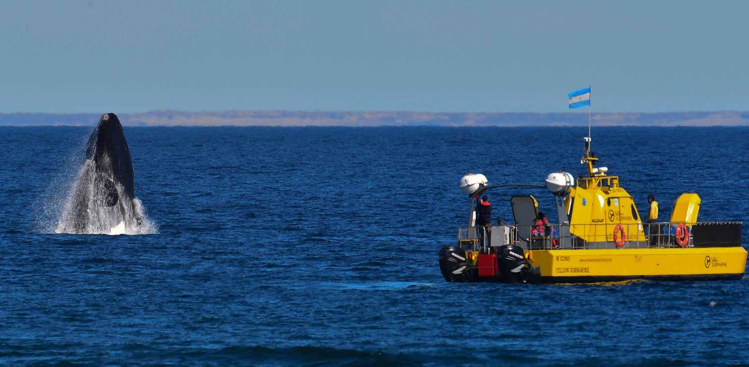 yellow-submarine-puerto-madryn