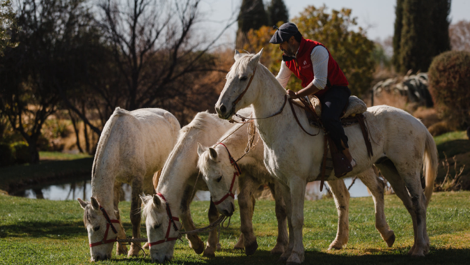 ¡Pasa un experiencia única a Caballo en Mendoza y disfruta de la mejor gastronomía de la región!