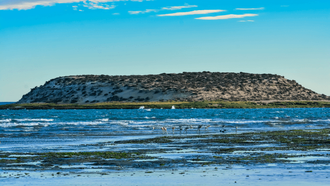 Observe de perto paisagens selvagens como a Ilha de los Pájaros, você ficará maravilhado!