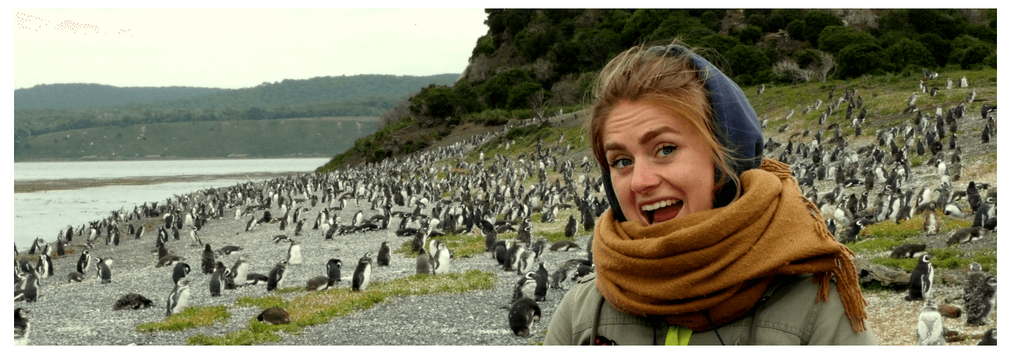 Caminata con Pingüinos en Ushuaia | Argentina4u
