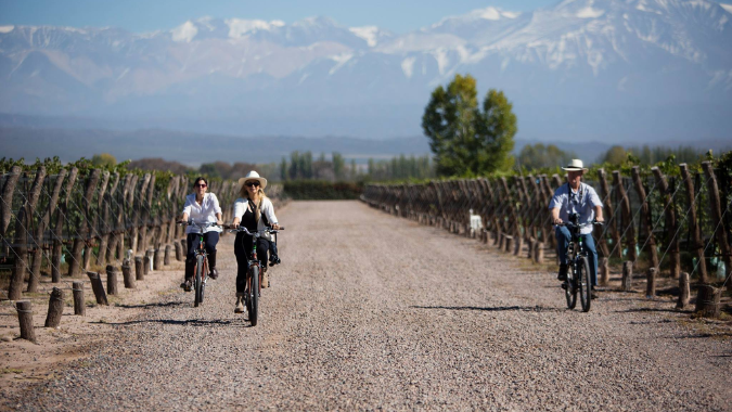 Spend a day of adventure biking in the vineyards of Mendoza!