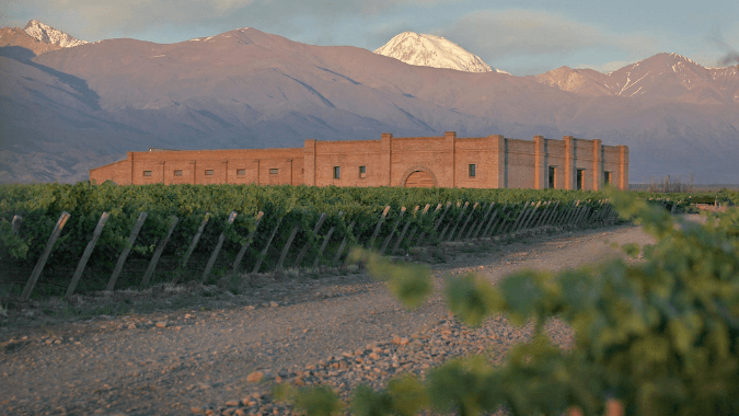 C'est à Mendoza que vous trouverez les meilleurs domaines viticoles d'Argentine !