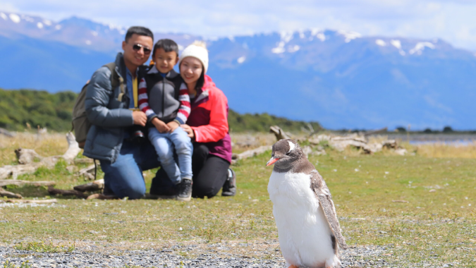 ¡No te pierdas la oportunidad de caminar en el hábitat natural de los Pingüinos de Magallanes!