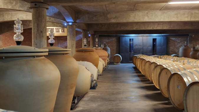 Apprendre et déguster les meilleurs vins dans le centre de la route des vins de la vallée d'Uco