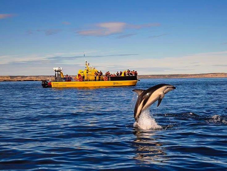 Yellow Submarine Puerto Madryn